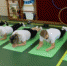 педагоги и спорт - Администрация г.п. Белореченск