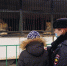 JPG Файл - Отдел МВД России по Белореченскому району