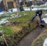 2c202c98-9736-4354-86e9-e3aa853625c3.jpg - Администрация г.п. Белореченск
